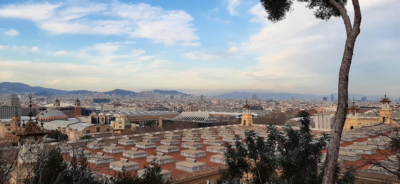 Barcelona skyline above the rooftops of the city